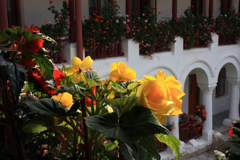 327-Monastero di Agapia,9 agosto 2011.JPG